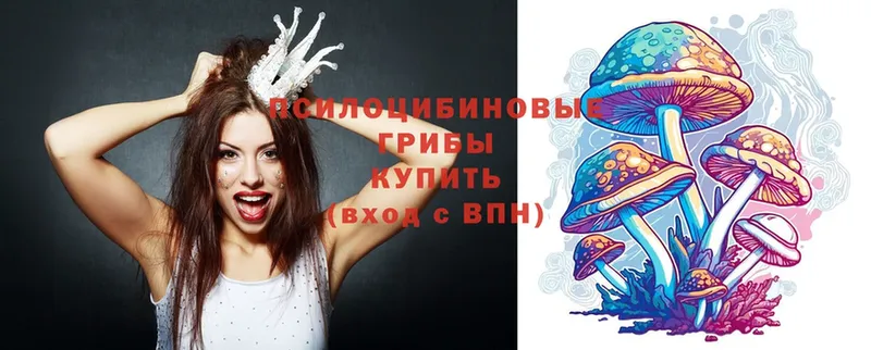 Псилоцибиновые грибы Magic Shrooms  даркнет клад  Лакинск 